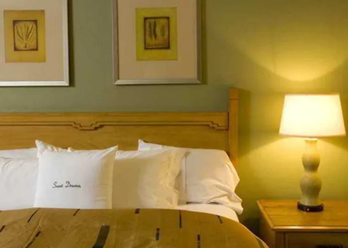 Doubletree By Hilton Tucson-reid Park Hotel Tucson